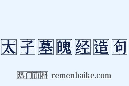 太子墓魄经造句是什么意思的图片